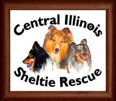 Central Illinois Sheltie Rescue Logo
