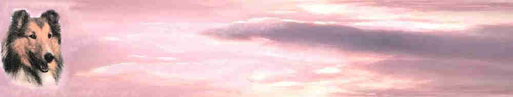 pinkcloudsback.jpg (26227 bytes)
