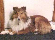 ricky.jpg (7166 bytes)